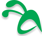 nesting.pages.dev favicon